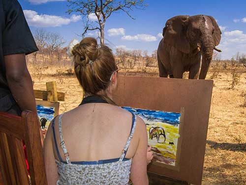 Elephant Art Safari | Scintilla