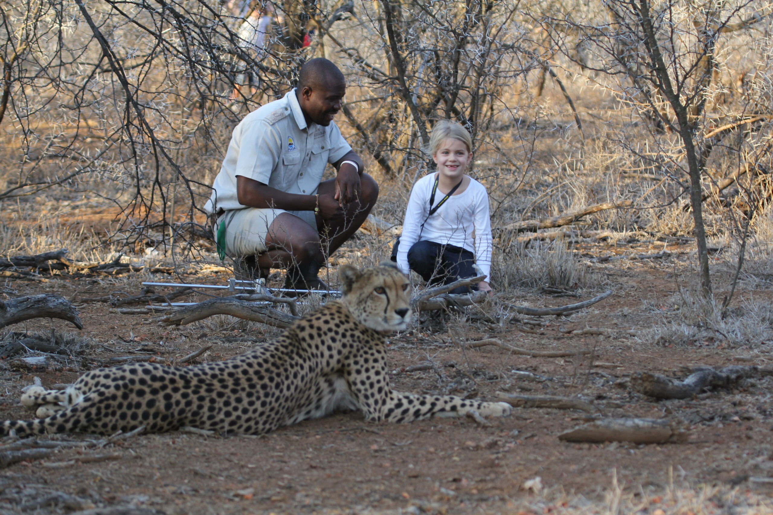 Track Cheetah on Foot 