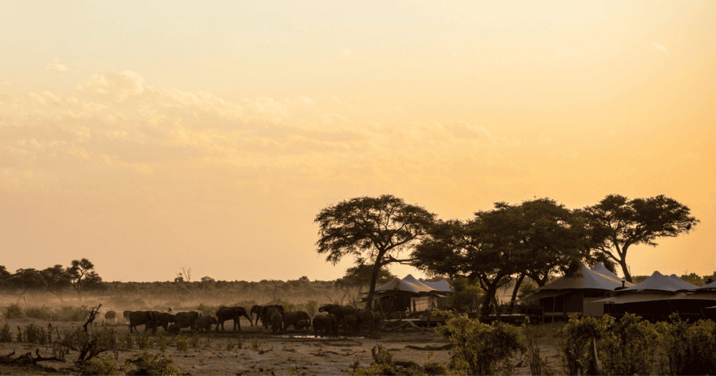 Curated Luxury Travel to Southern Africa